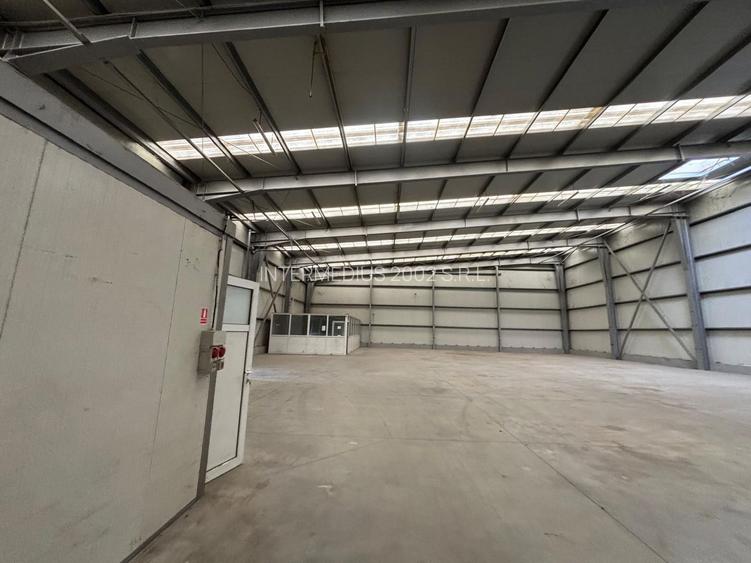 Hala 1514 mp in Calea Sagului - 20