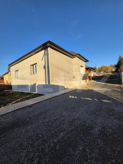 Casa de vacanta in curs de modernizare in Belis, 5 camere, 920mp teren drept - 18