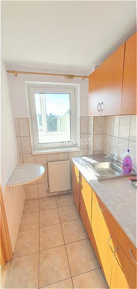 Inchiriere garsoniera strada Ravasului - 5