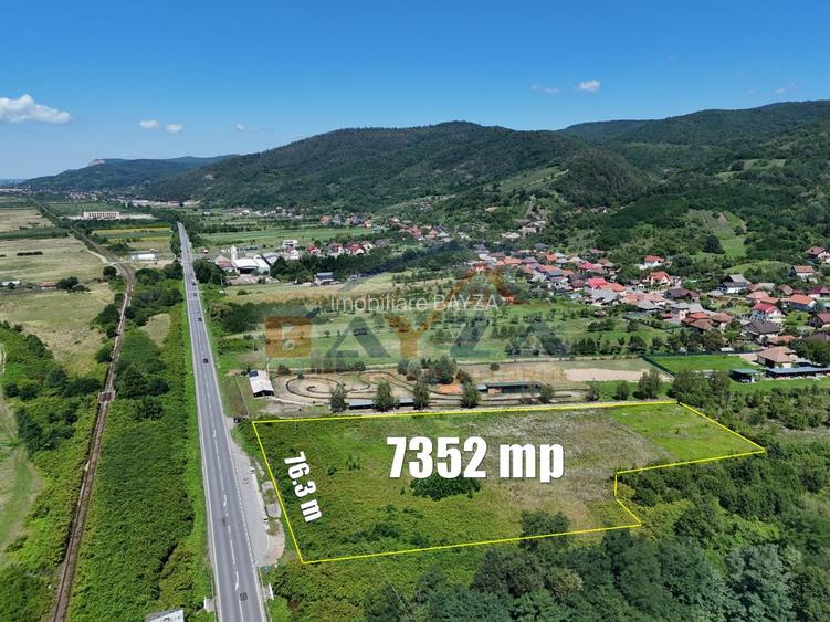 Teren intravilan 7352 mp, cu Deschidere 76.3 m la Șoseaua Națională - Cicârlău - 2