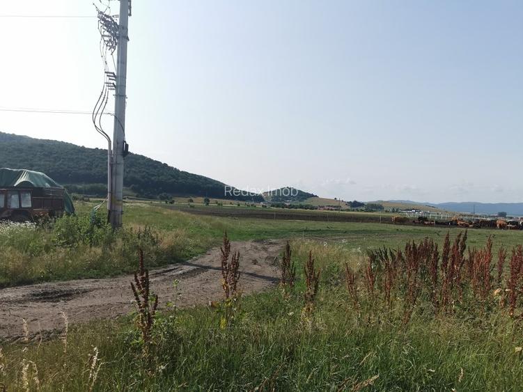 Teren intravilan industrial pentru constructie hale Codlea - 3