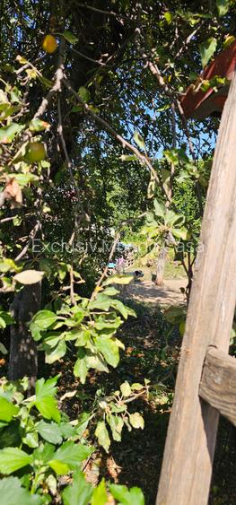 Oraș  Pantelimon-Ecaterina Teodoroiu, 754mp , casa veche locuibila - 8