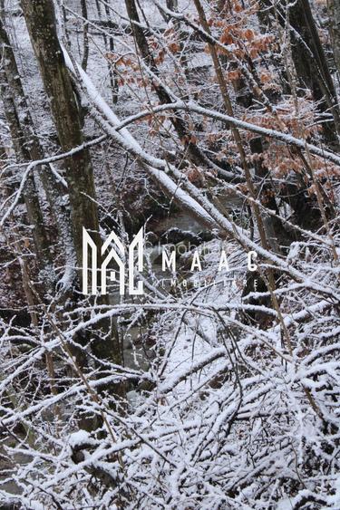 Teren cu izvor de apă minerală  Dangești, Punctul Valea Mare - 22