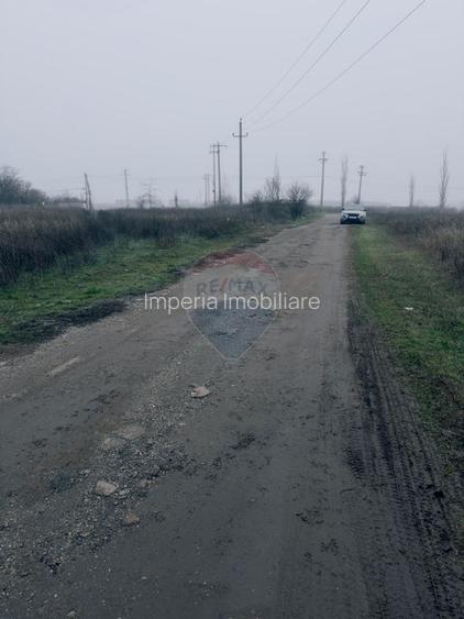Teren 5,000mp Caracal, parcelabil, zona in dezvoltare - 3