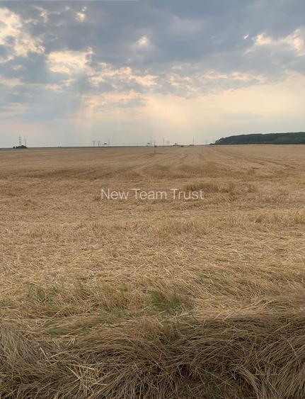 Stefanesti de Jos DJ200 Vanzare  Suprafata Compacta 3 hectare - 3