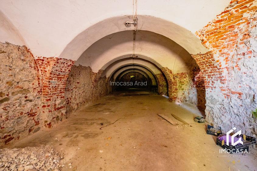 Vila Conac boieresc contelui Fabia 1920 de vânzare Păuliș Arad 2,4 ha - 15