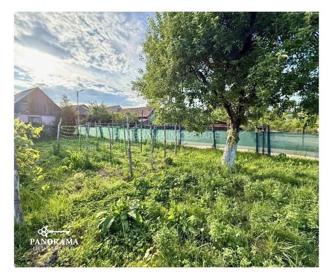 Casă tradițională la țară, în Dârlos - 13