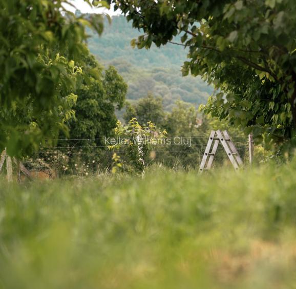 Viseaza, construieste, culege: Livada Paradisului - De Vanzare - 14