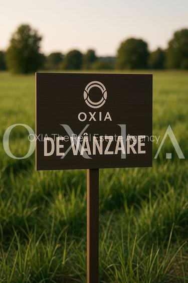 AX1152 Beregsau Mic, Teren Intravilan Pentru Constructii, 20 Euro/Mp - 4