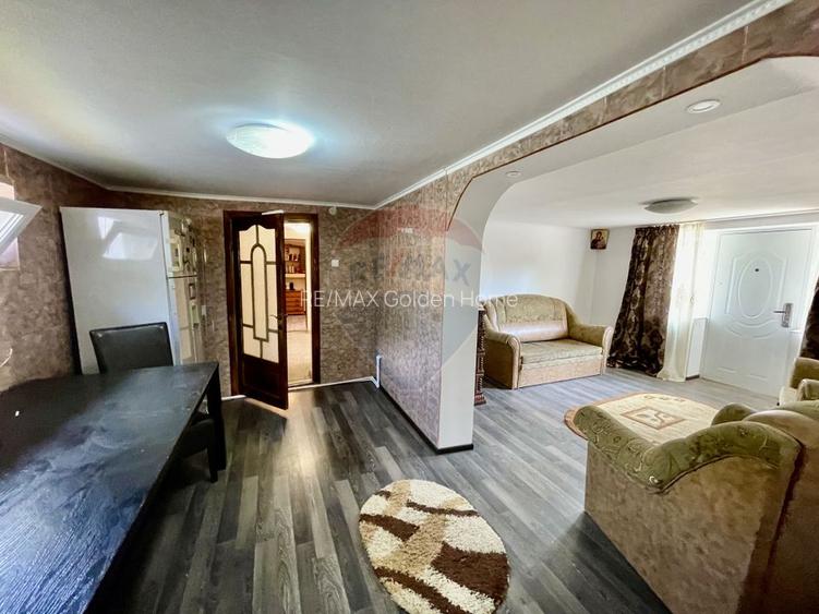 Casă Tifesti teren si vie - 19