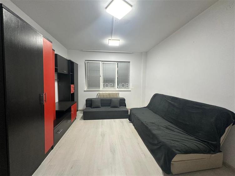 Inchiriere Apartament cu 2 camere Tatarasi - 7