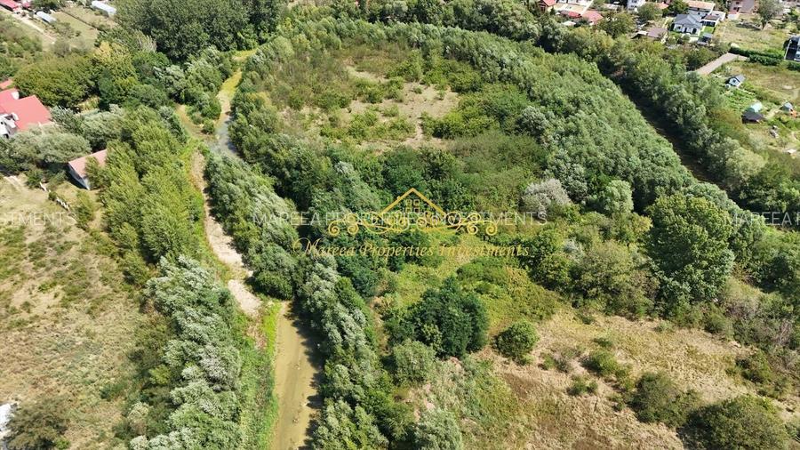 Teren Domnesti Vladimirescu, langa raul Ciorogarla - 3