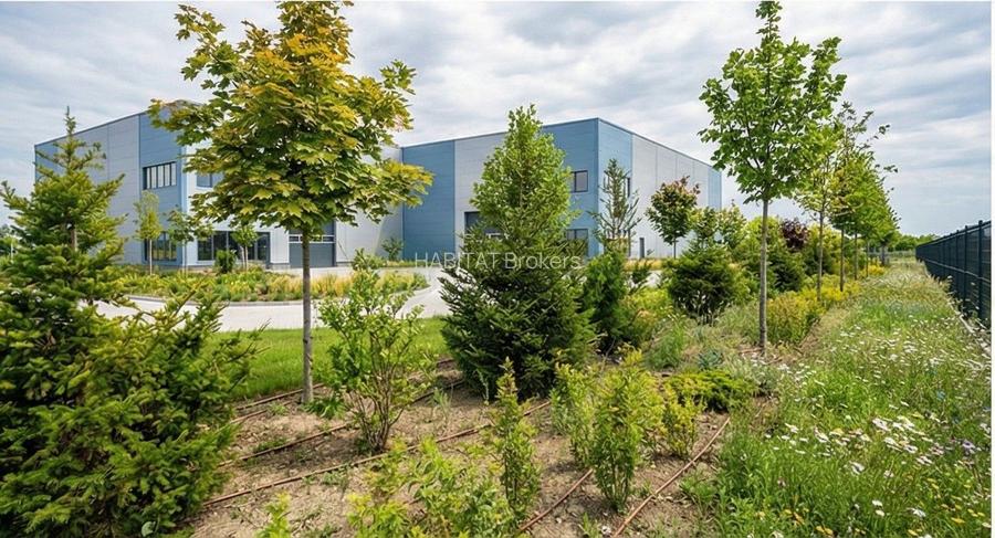 Oportunitate  PUD Aprobat – Acces Imediat Centura Bucuresti - 8