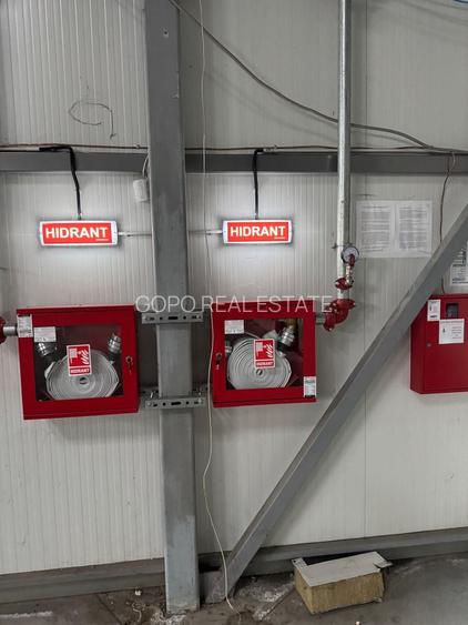 Hala 1000 mp de inchiriat Drumul Intre Tarlale- Oxigenului - 9