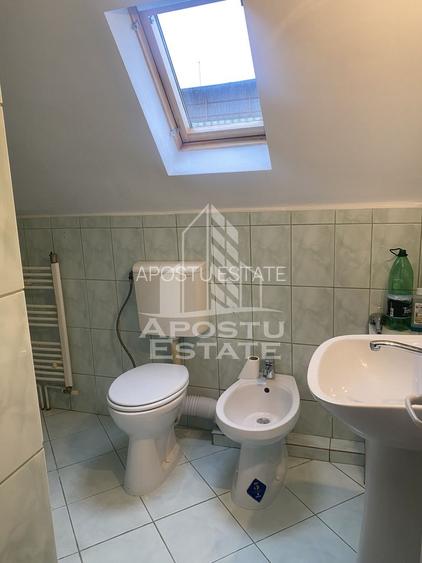 Casa individuala in Remetea Mare cu 1219 mp de teren - 5