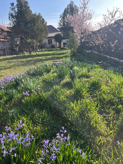 Oradea casa situata central pentru afacere sau locuinta - 5