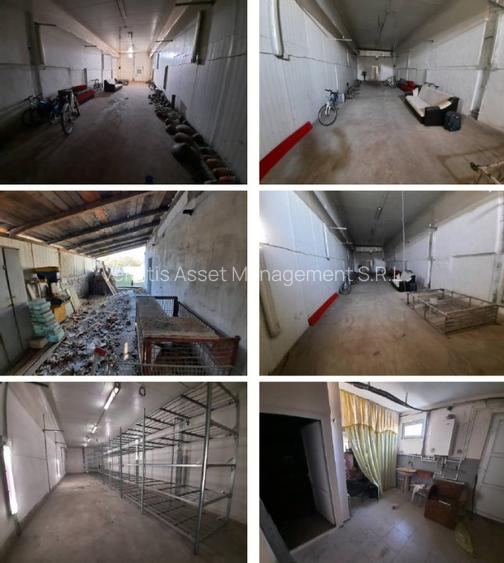 Proprietate compusa din casa si spatiu de productie sau depozitare NEGOCIABIL - 8
