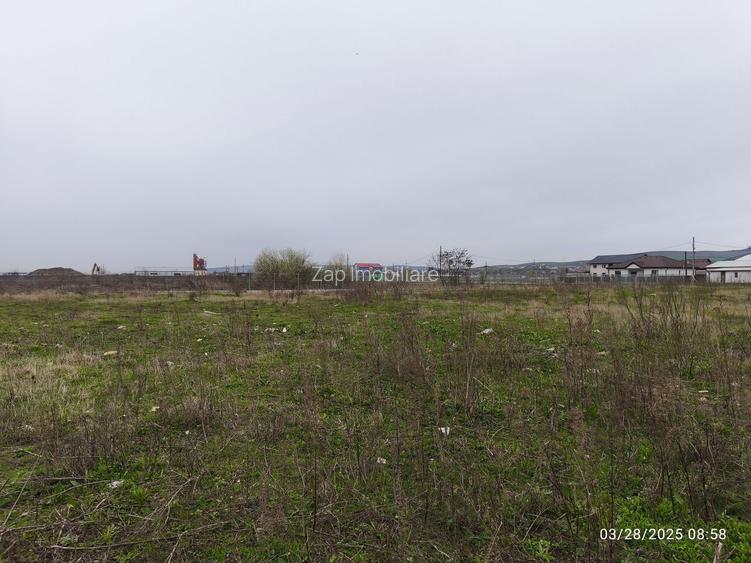 Teren drept  19059 mp - toate utilitățile - asfalt - Sancrai - 9
