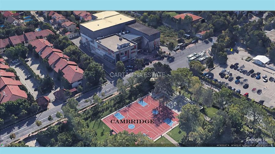 Iancu Nicolae 920 mp ( Cambridge ) - 2