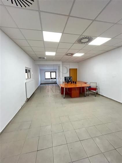 MIRCEA CEL BATRAN - CASA INDIVIDUALA + TEREN GENEROS - SAD - INVESTITIE UNICA - 7