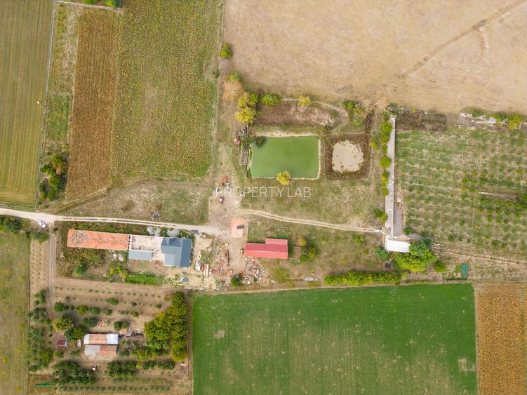 Teren intravilan cu iazuri și casă - Chișineu-Criș - 25