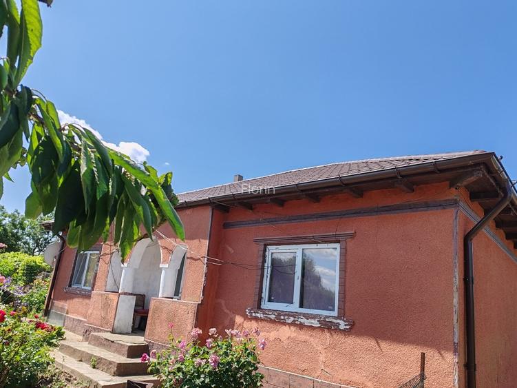 De Vanzare Casa la tara in localitatea Movila Verde la 50 km de Constanta - 12