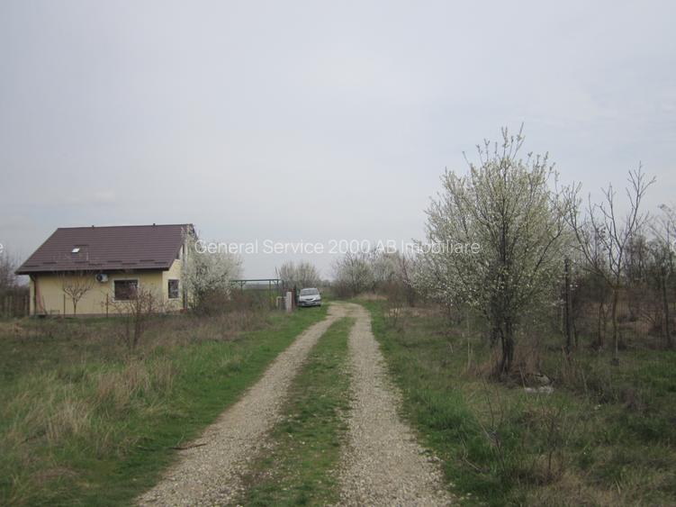 Teghes-Caminului - 8