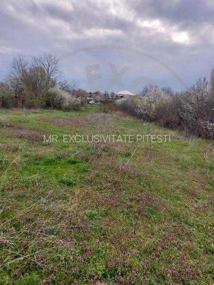 Teren Topoloveni - 3670 mp - langa padure, aproape de Centrul orasului - 5