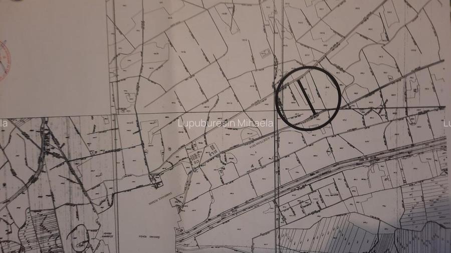 Vand teren in Sanmihaiu Roman - 5