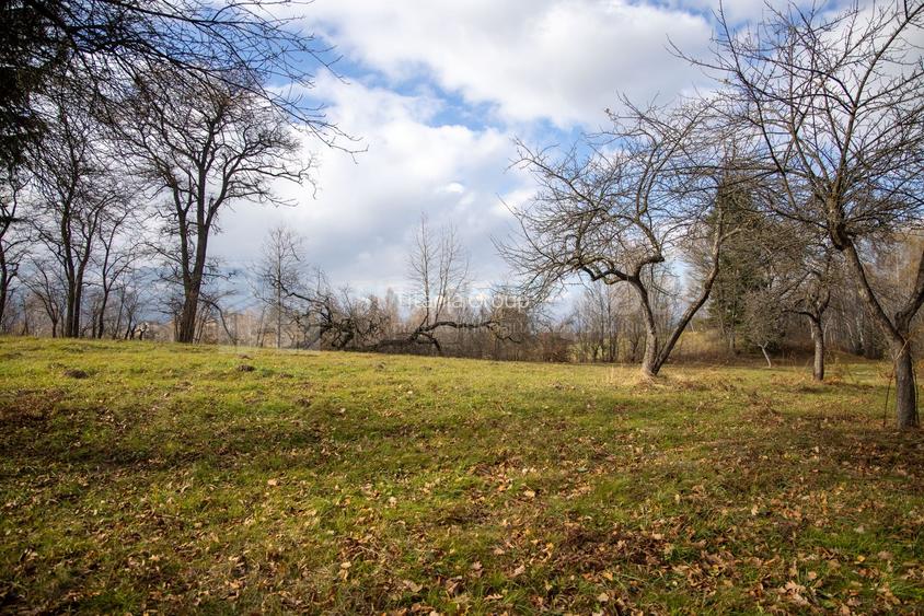 Teren intravilan, cu PUZ, Bran Tohanita,  SE ACCEPTĂ ȘI SCHIMB - 21