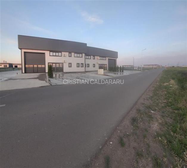 Vanzare depozit/hala/spatiu industrial Domnesti - Centura, Ilfov - 9
