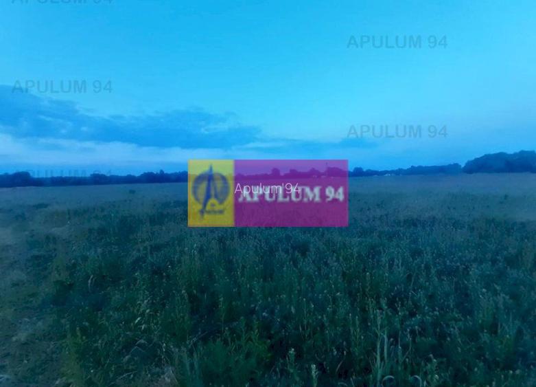 Teren aproape de Bucuresti langa padure - 21