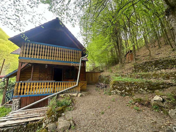 Cabana 5 camere, 75 mp| teren 900 mp| zona Iezer Ighiel - 2