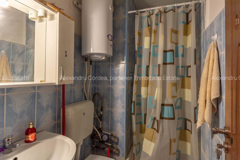 Costin Georgian Lucretiu Patrascanu, Garsoniera modesta, de inchiriat, Comision0 - 7