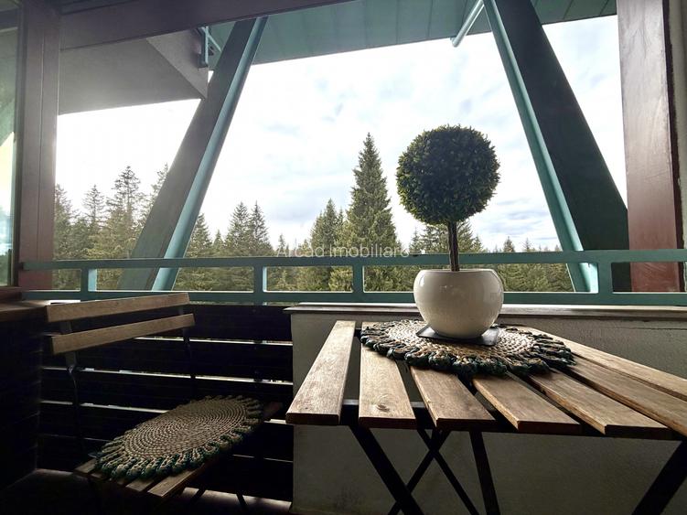 Apartament 2 camere de vanzare in Silver Mountain | Poiana Brasov - 20