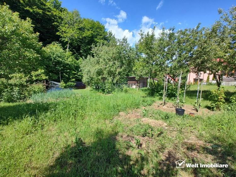 Oaza ta de liniste si verdeata, teren Faget cu parau in curte - 4