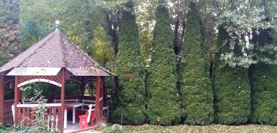 Proprietate cu destinatie mixta in Campul Cetatii - 10