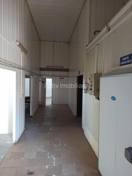 HALA ideala pentru PRODUCTIE ALIMENTARA, Poiana, Ovidiu – 827 mp, teren 4066 mp - 25