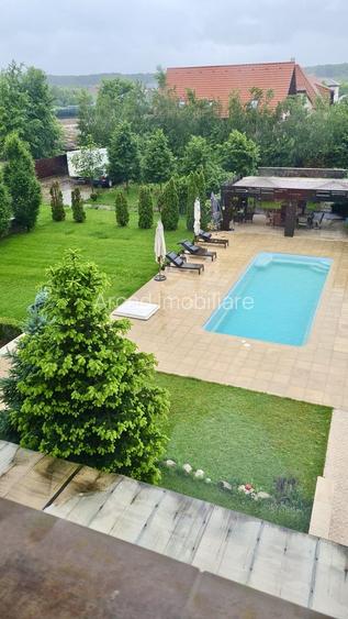 Domeniu Privat cu 3.278 mp Teren | Piscină, Iaz Ornamental și Reședință - 3