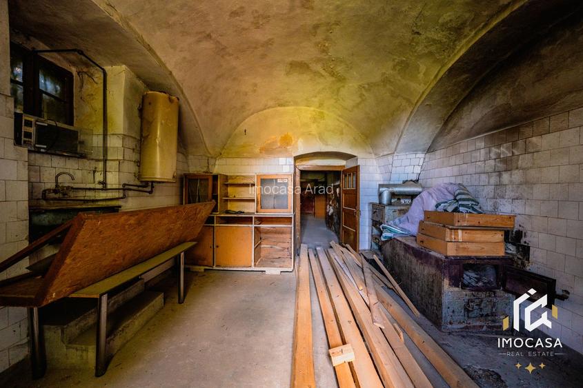 Vila Conac boieresc contelui Fabia 1920 de vânzare Păuliș Arad 2,4 ha - 13