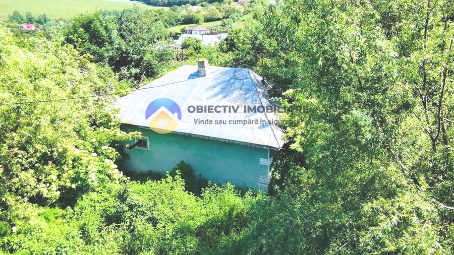 TEREN intravilan + casa  DOBRENI - SARATA - 6