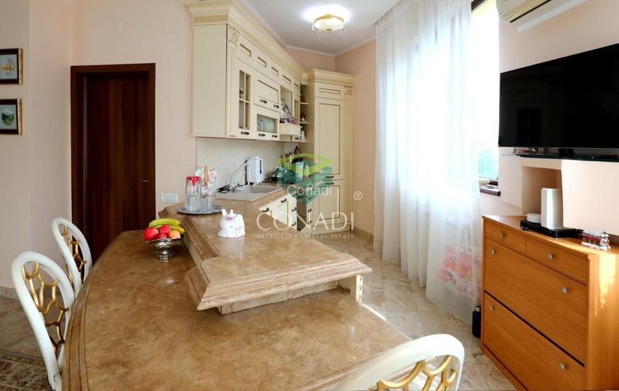 Iancu Nicolae, vila cu 5 camere de inchiriat, 291 mp utili - 6