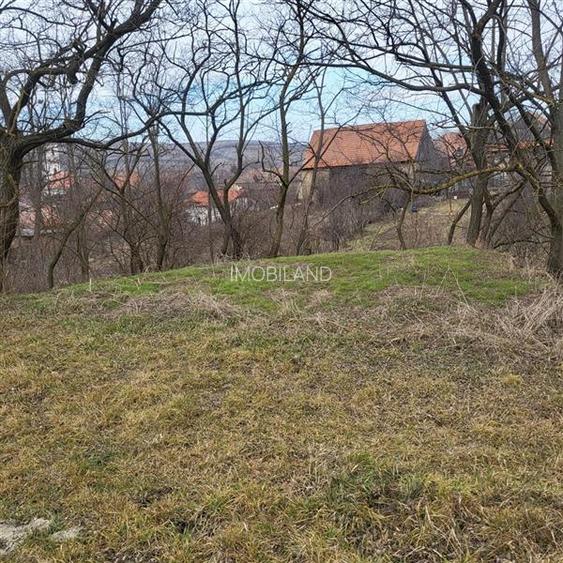 Teren pentru 2 case în Mera - 5