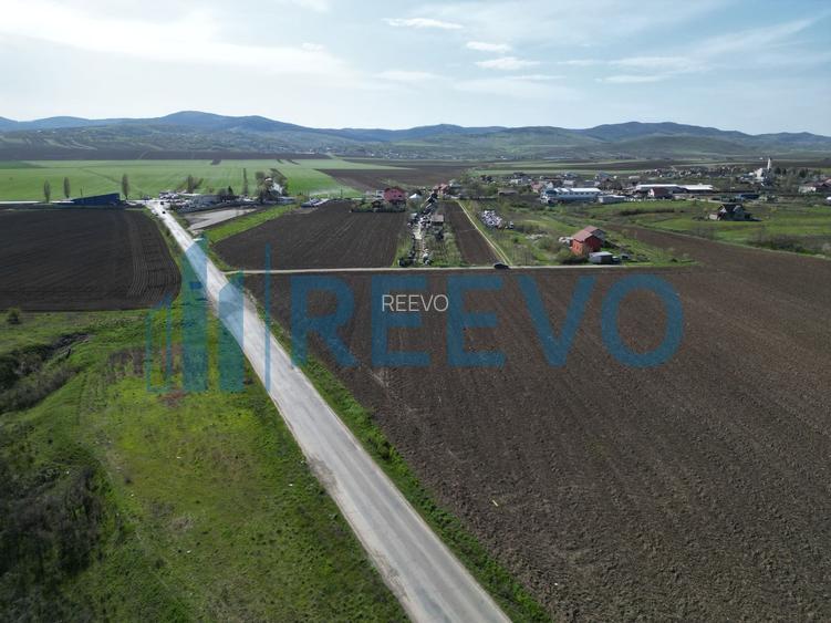 Teren de vânzare, Com. Nicolae Bălcescu, Jud. Bacău - 6