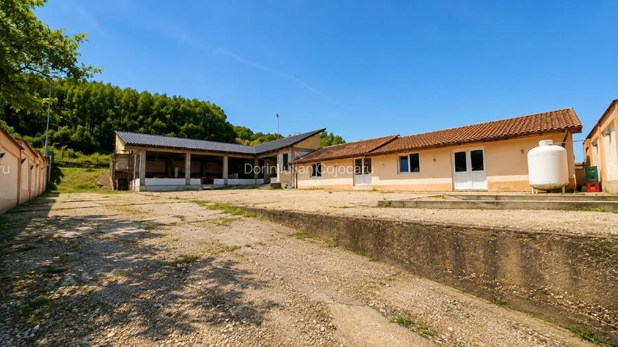 VILA IMPRESIONANTA / PROPRIETATE EXCLUSIVISTĂ - potential turistic si de afaceri - 4