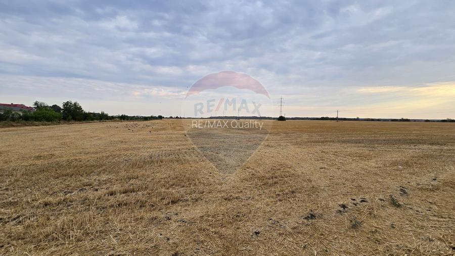 Teren intravilan Buftea, soseaua Tamasi - 5