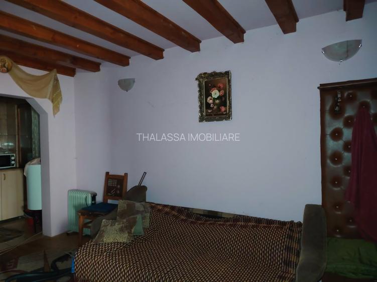 Proprietate de vacanta Valea Oltului - BREZOI - 9