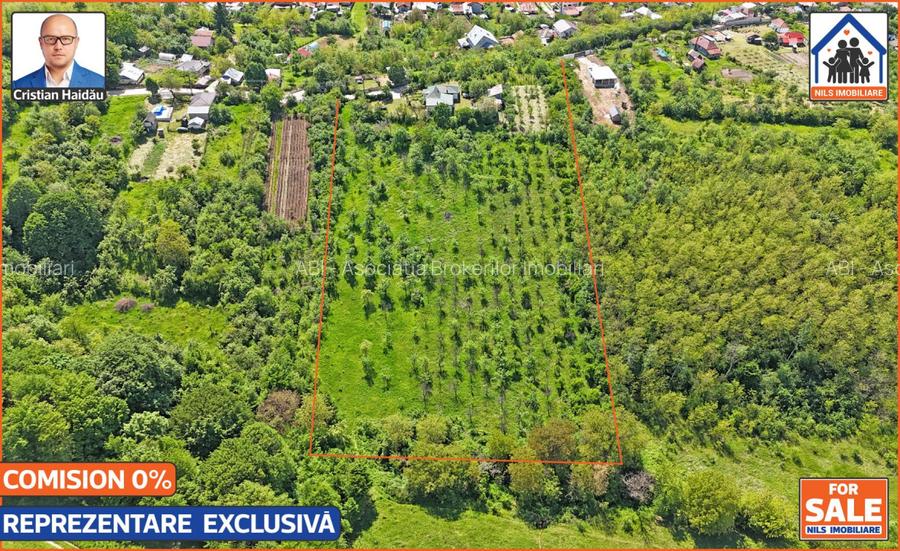 Casa renovata 141mp   Teren 10.000mp | Podenii Vechi - PH - 12