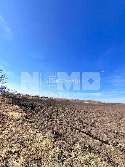 Vanzare I Teren I Suceava/Stroiesti I 100 ARI 2999 Euro/Ar - 4