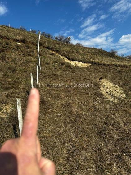 Teren extravilan 9000 mp Corușu, Baciu – acces drum,  acces apa curgatoare - 11